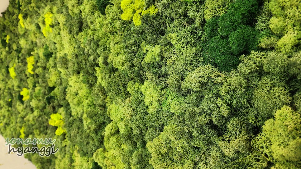 4b3814a84c5a62e823036f2f55bd975c_1679540994_6574.jpg